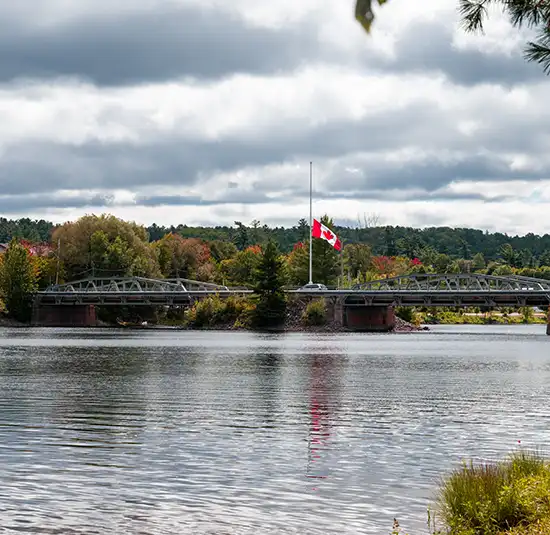 Waterfront view with trees and a cloudy sky